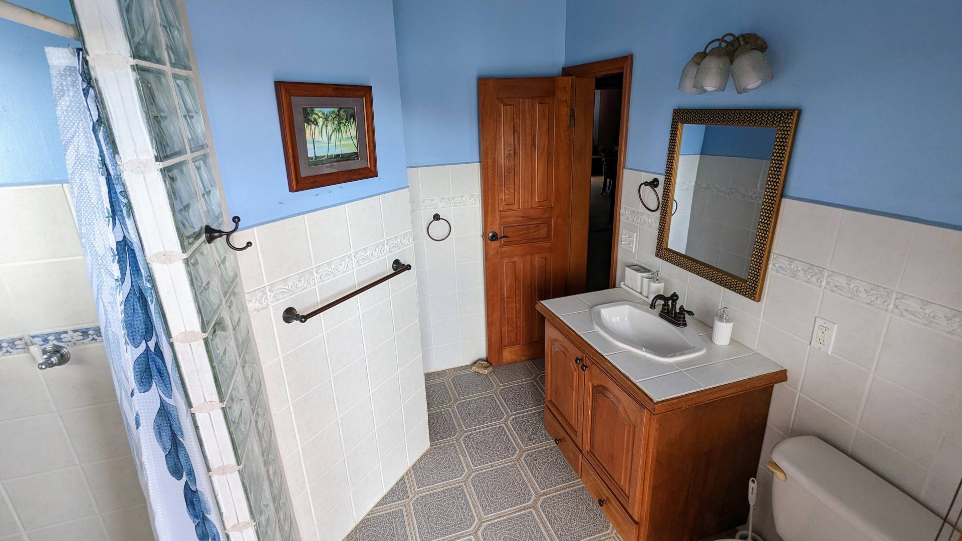 Lower level bathroom